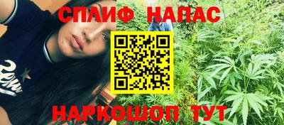 прущие грибы Ижевск